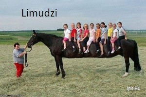 limudzi